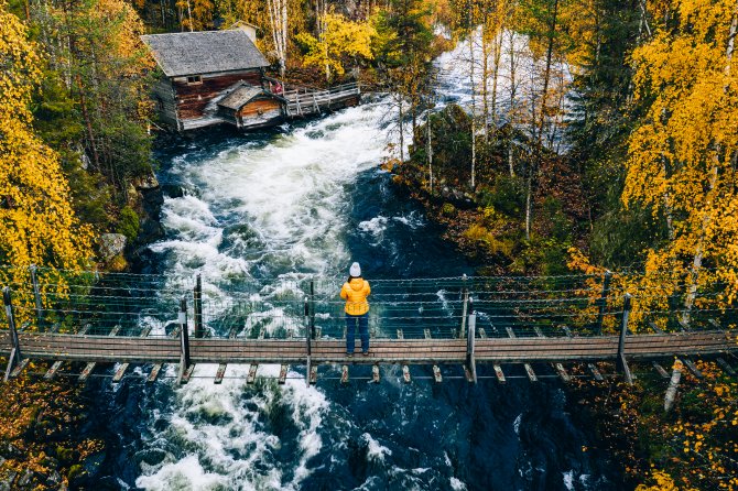 aerial-view-of-fall-forest-and-blue-river-with-bri-2022-01-18-23-55-26-utc.jpg